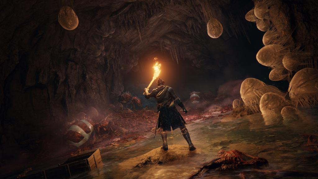 Elden Ring launches on PS4 and PS5 on21st January 2022
